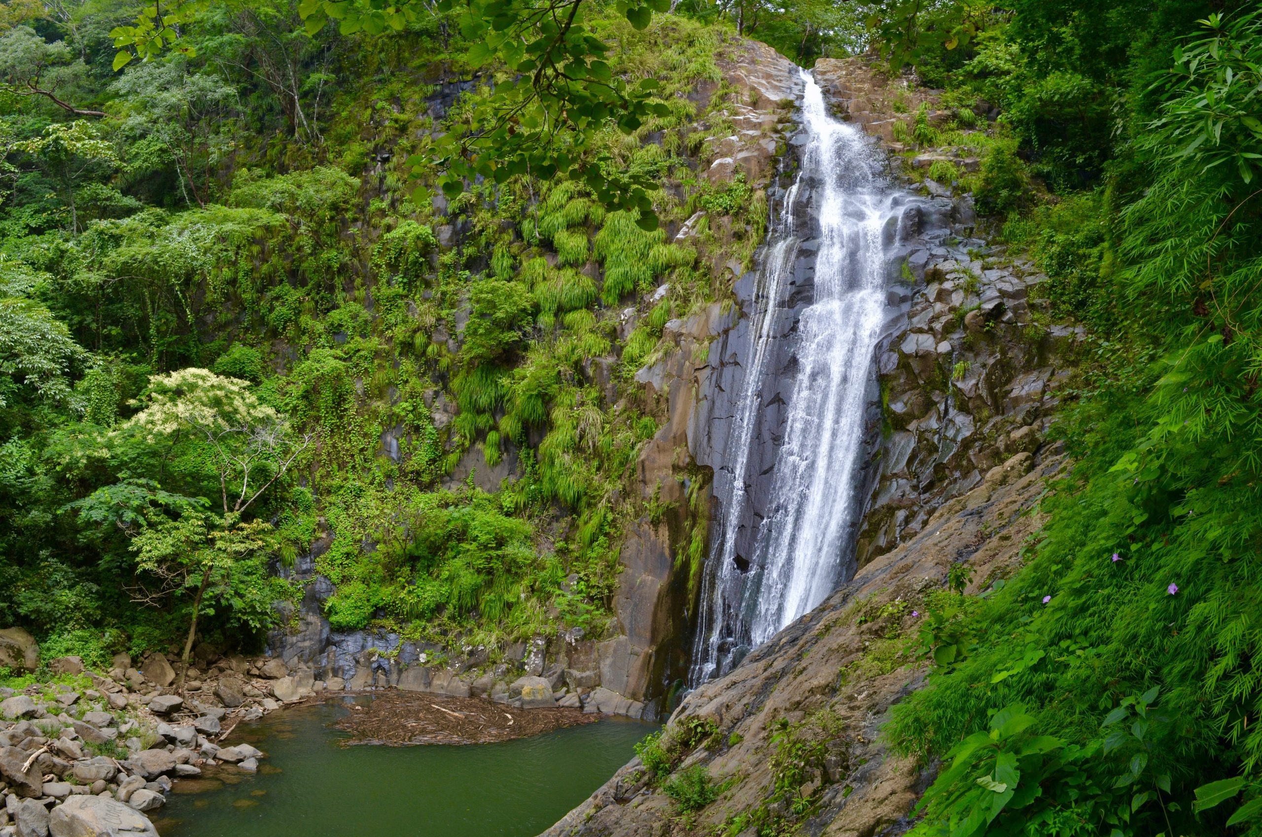 El imposible - imagen 3