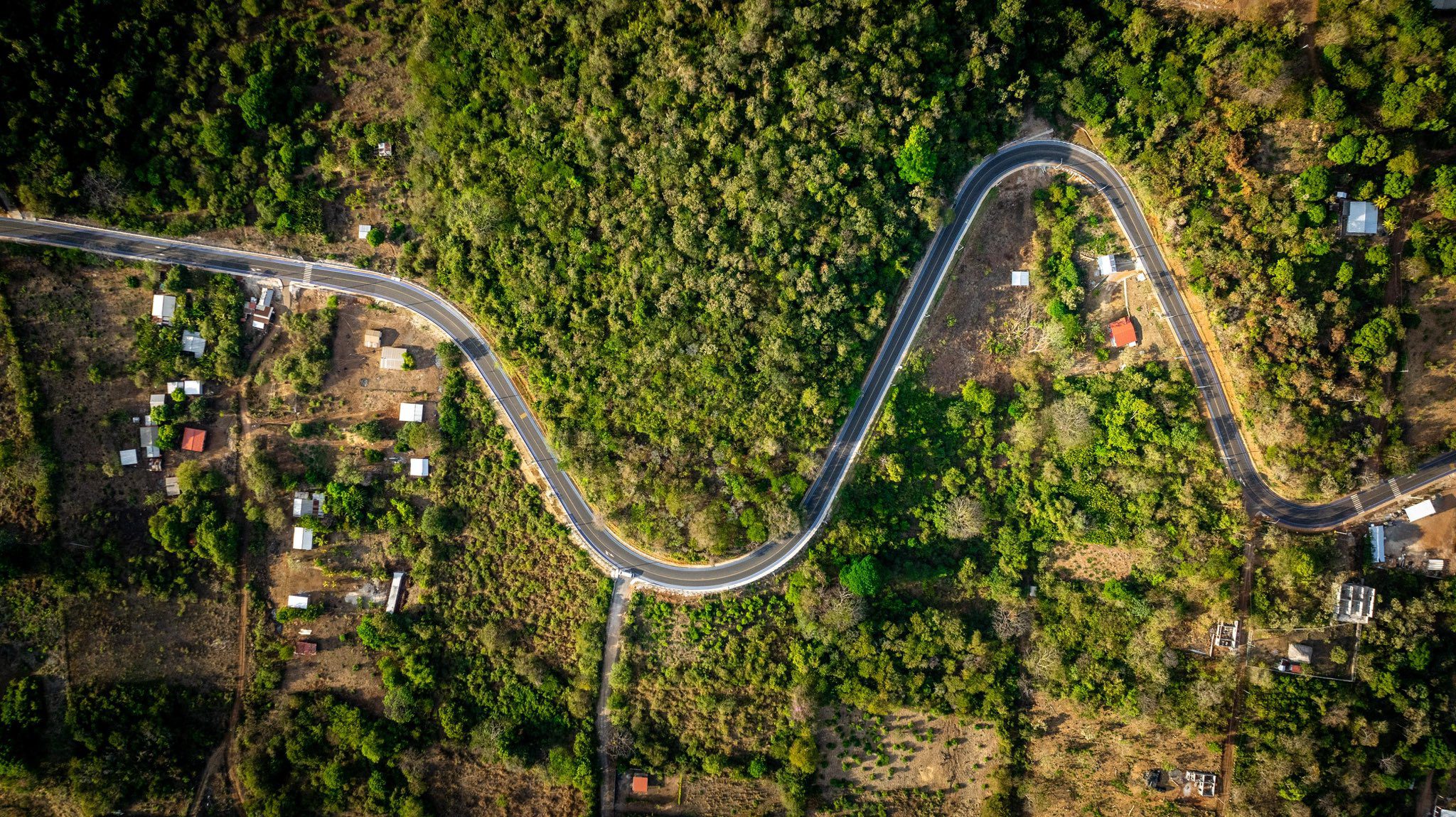 Surf city 2 - imagen 3