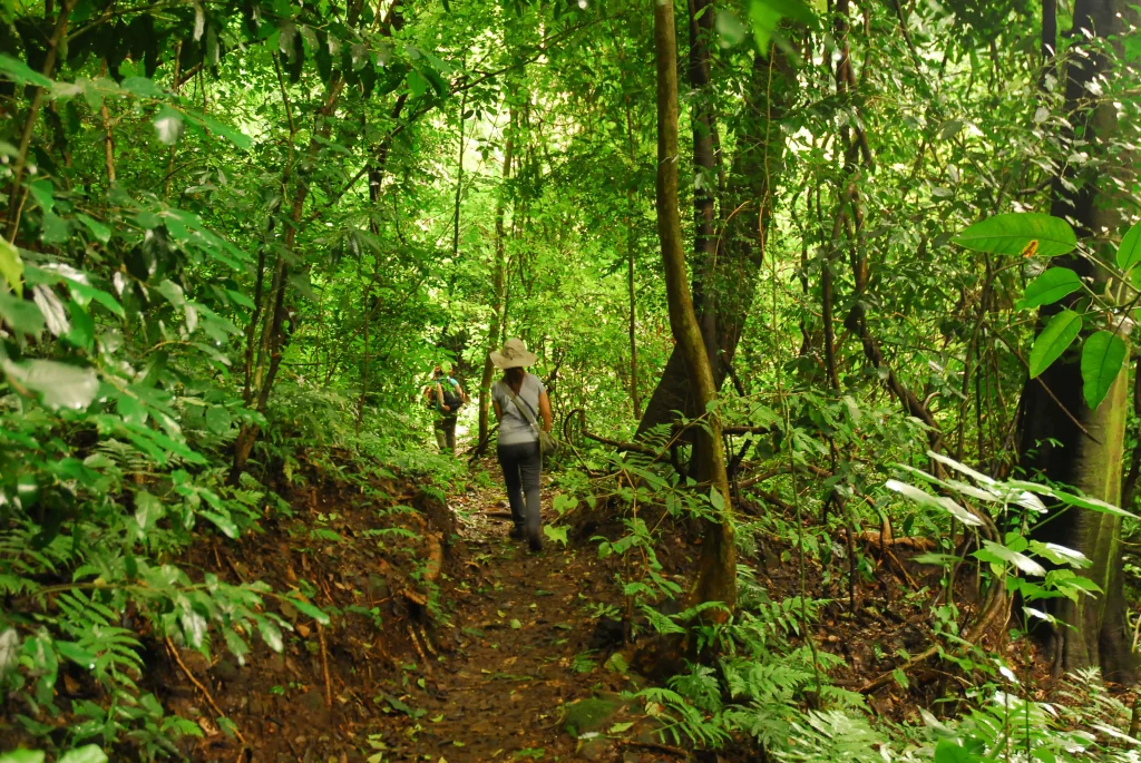 Parque Nacional El Imposible - imagen 3